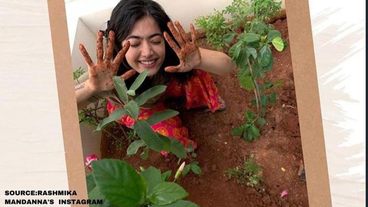 Rashmika Mandanna