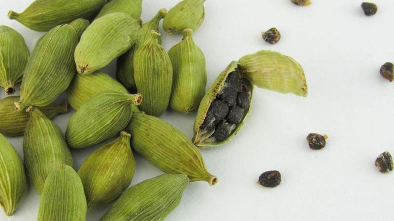 Cardamom