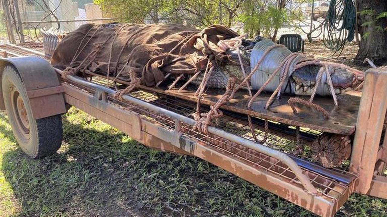 770-pound crocodile caught at Outback tourist destination