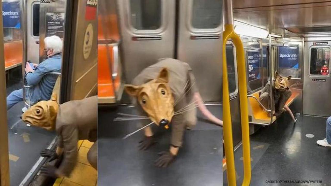 Man impersonating 'giant rat' on New York subway amuses internet | Watch