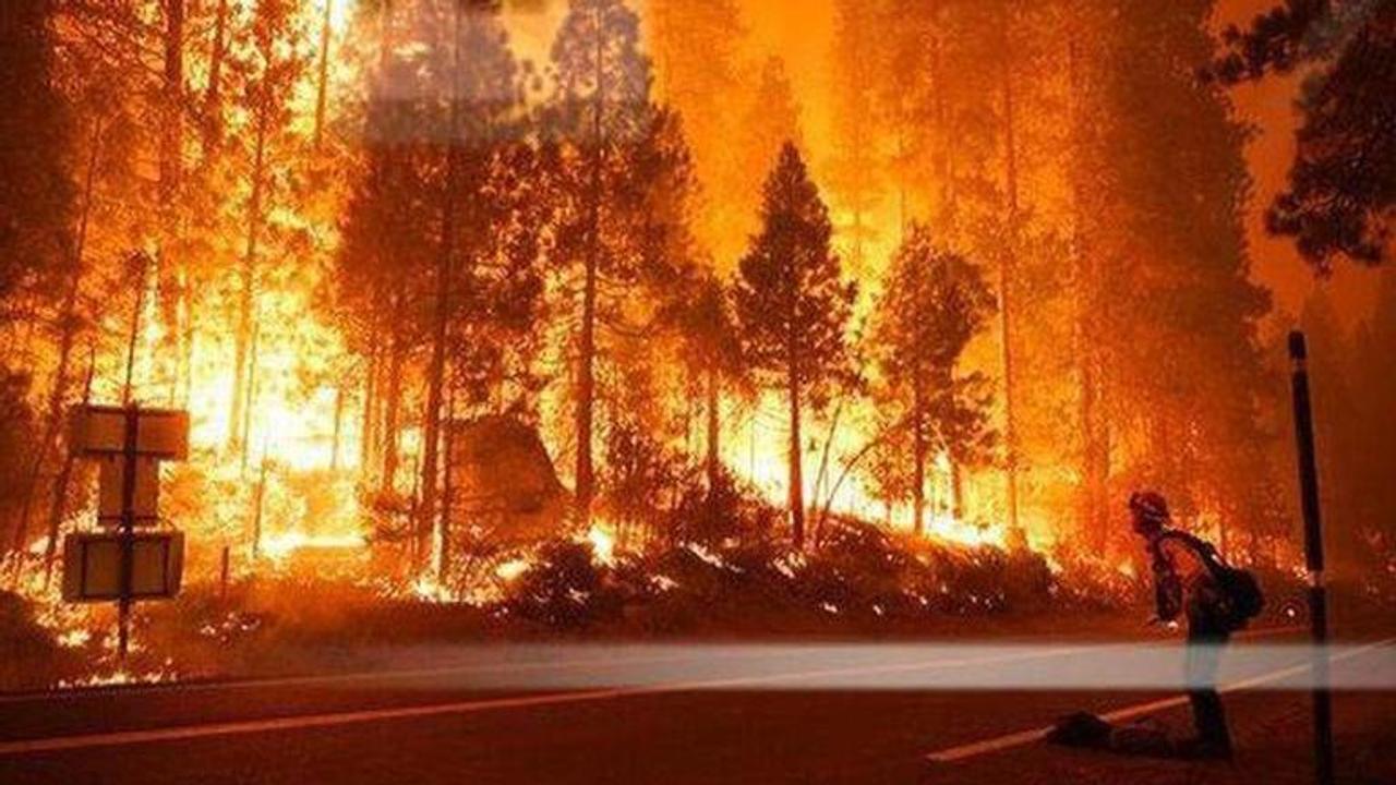 Powerful winds whip new California wildfires