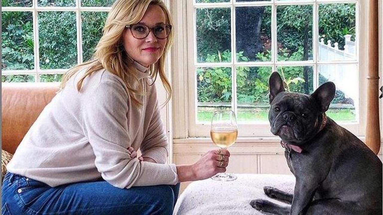 reese witherspoon's dog pepper