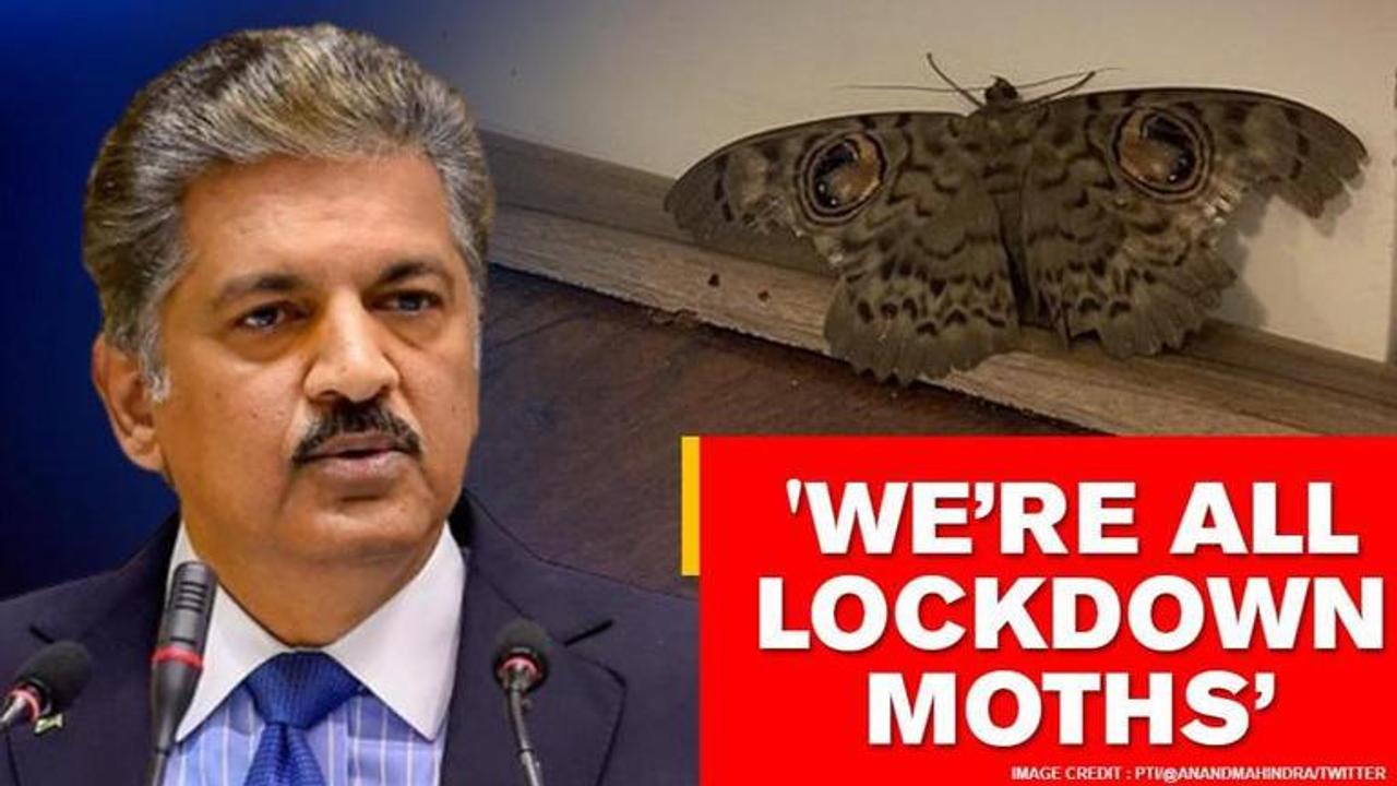 Anand Mahindra