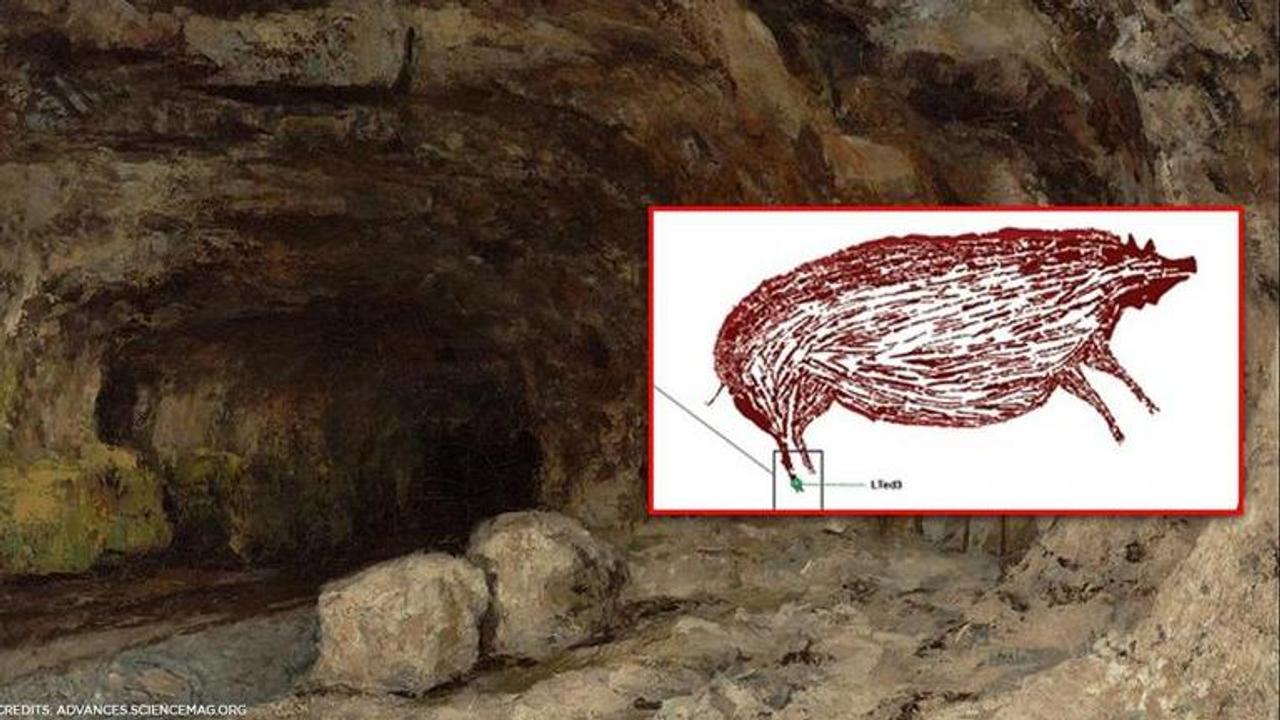 World's oldest known cave painting found in Indonesia, depicts life size pig