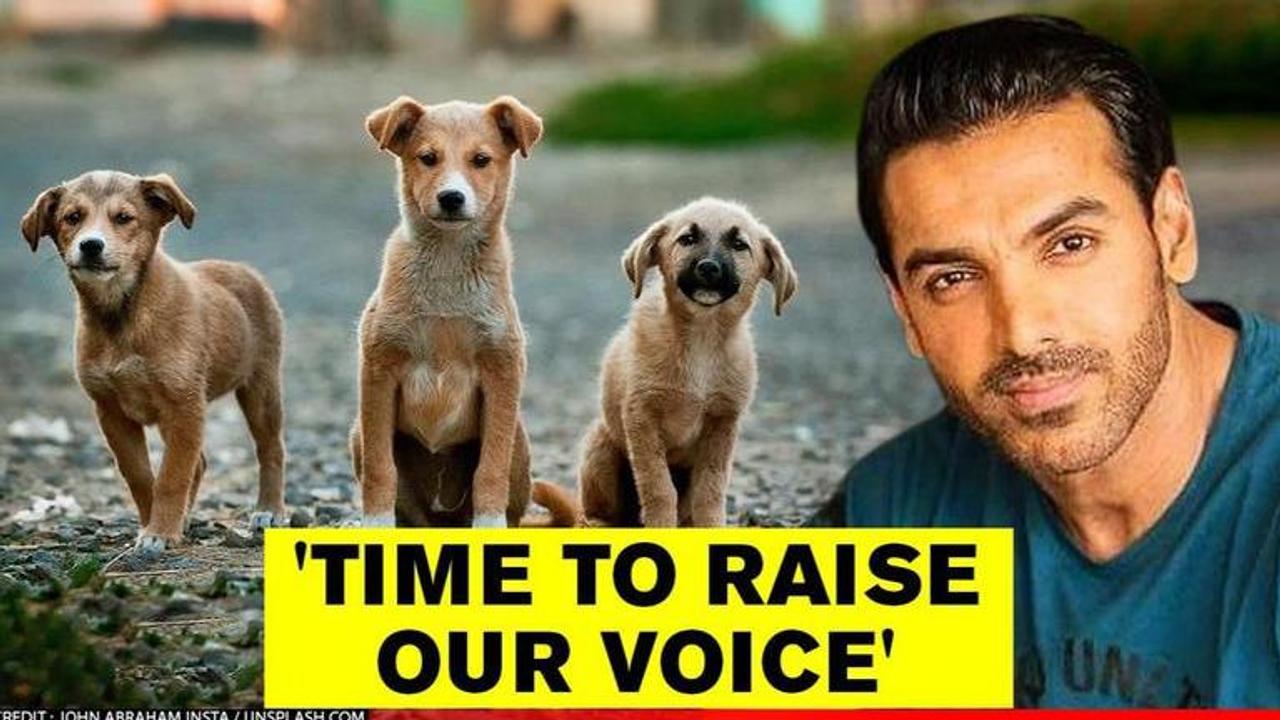 John Abraham raises his voice for a surge in fine against animal cruelty