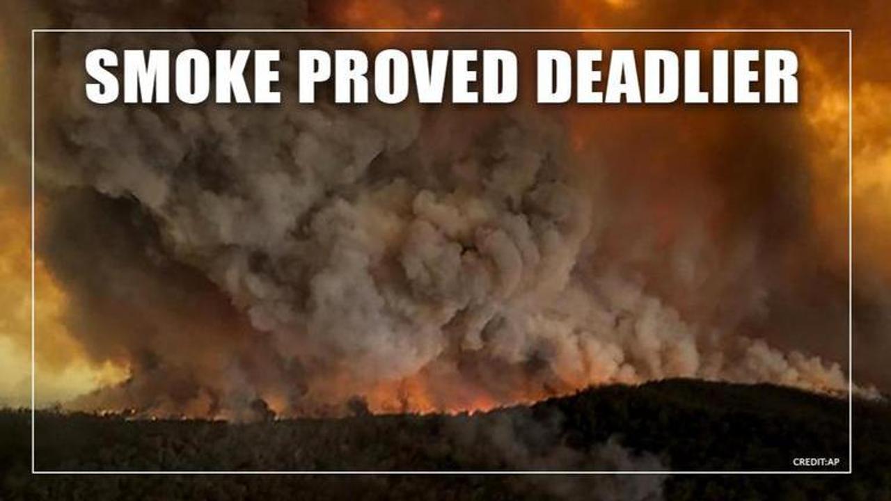 Smoke from Australian bushfires killed more