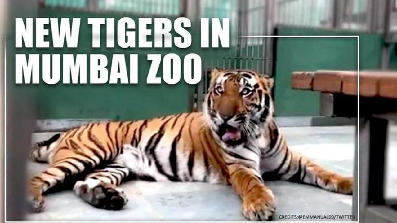 Byculla zoo