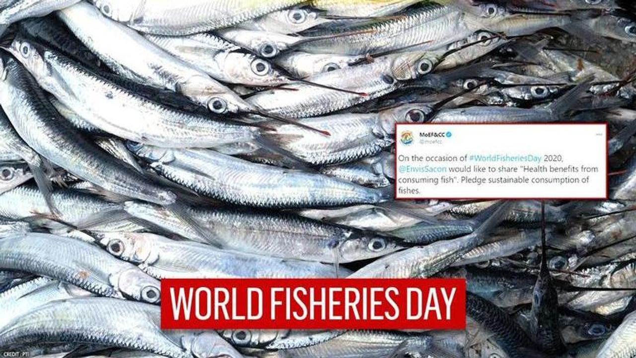 World Fisheries Day