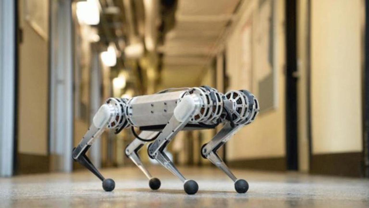 Robotic Guide Dogs