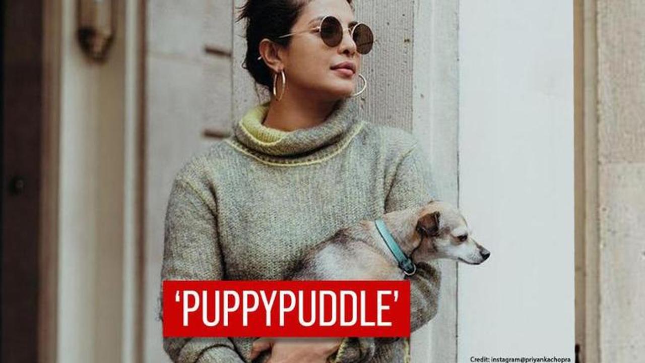 Priyanka Chopra poses with her Cute Pet on INSTAGRAM