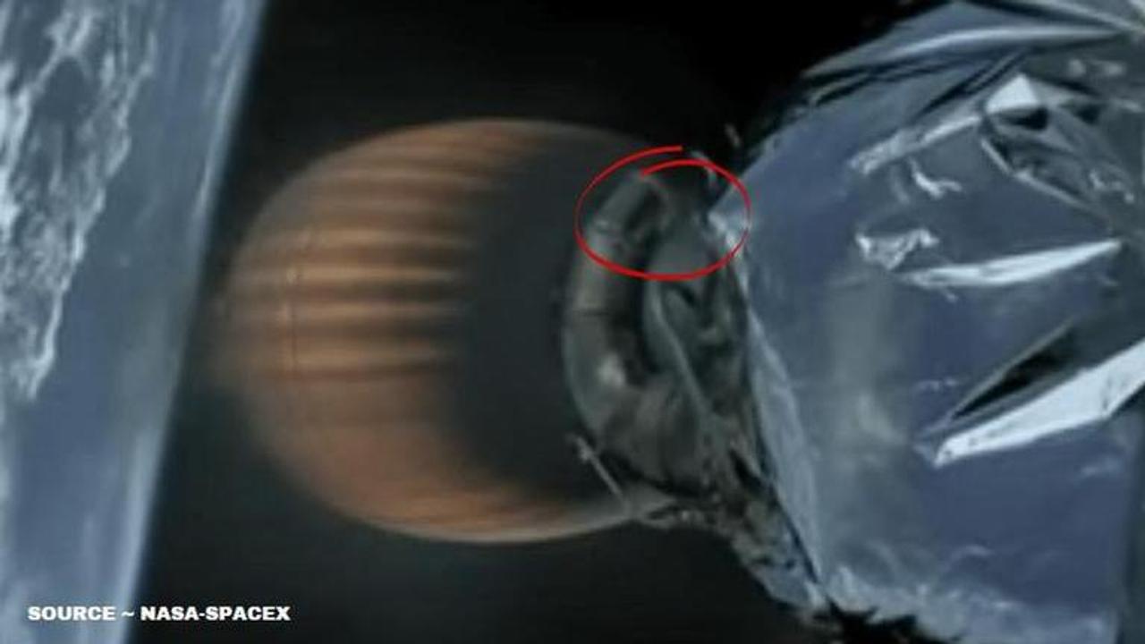 mouse on spacex