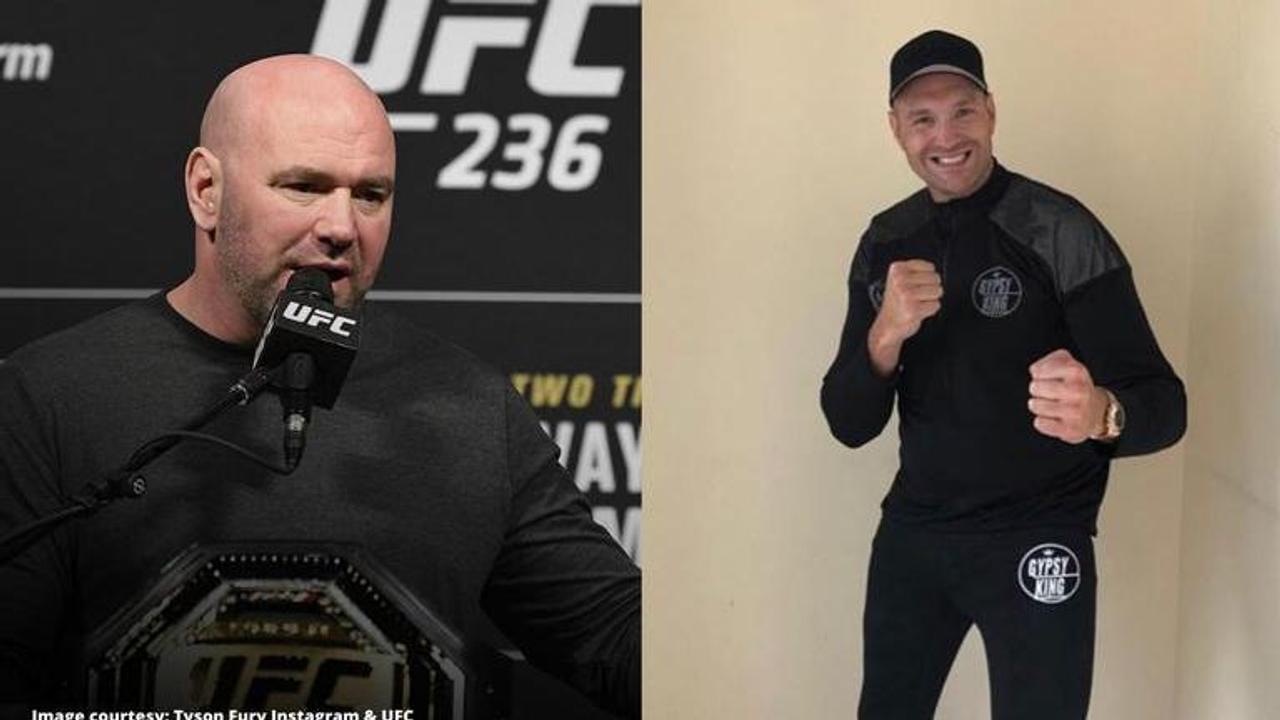 dana white