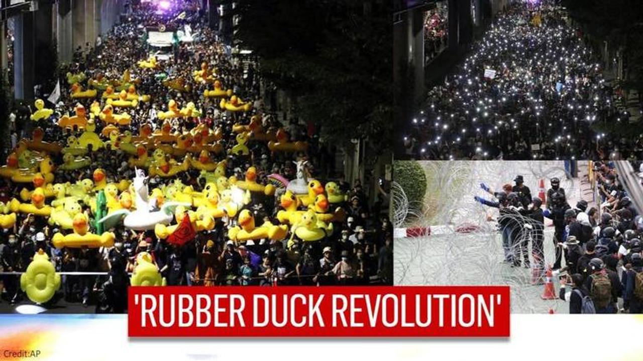 Rubber duck