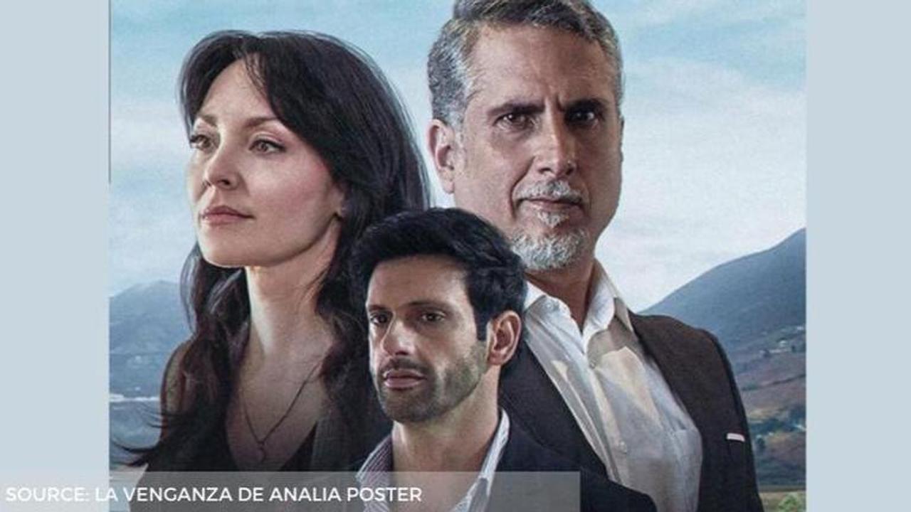 La Venganza de Analía cast