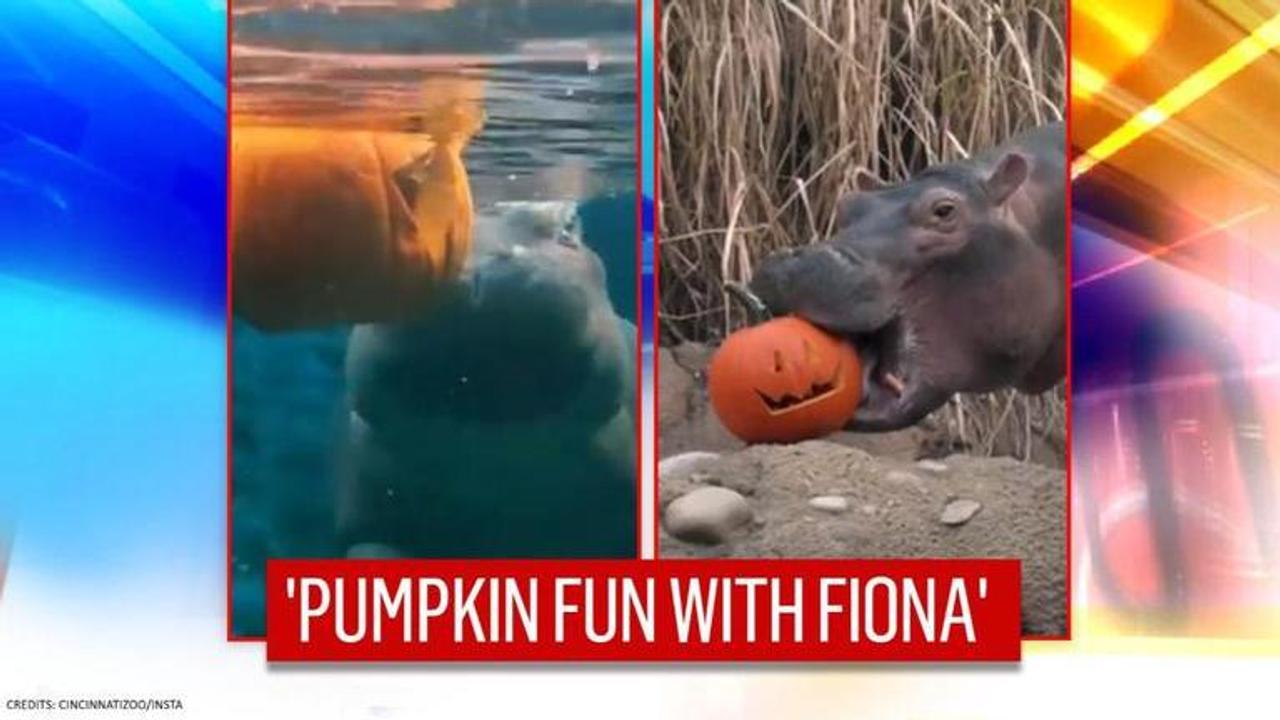 Fiona