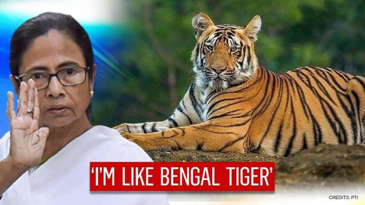 Mamata Banerjee