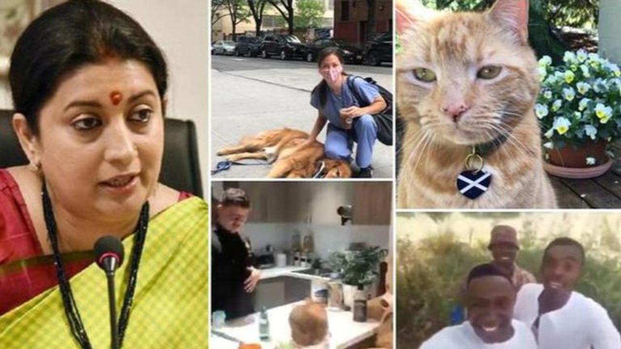 Good News: From photobomber cat to bartender dad: Stories that spread joy