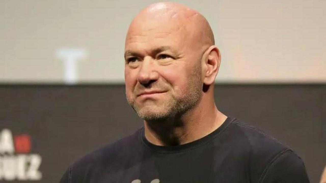 Dana White, UFC, MMA