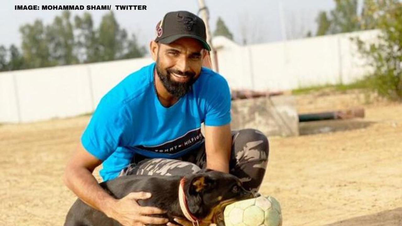 Mohammad Shami