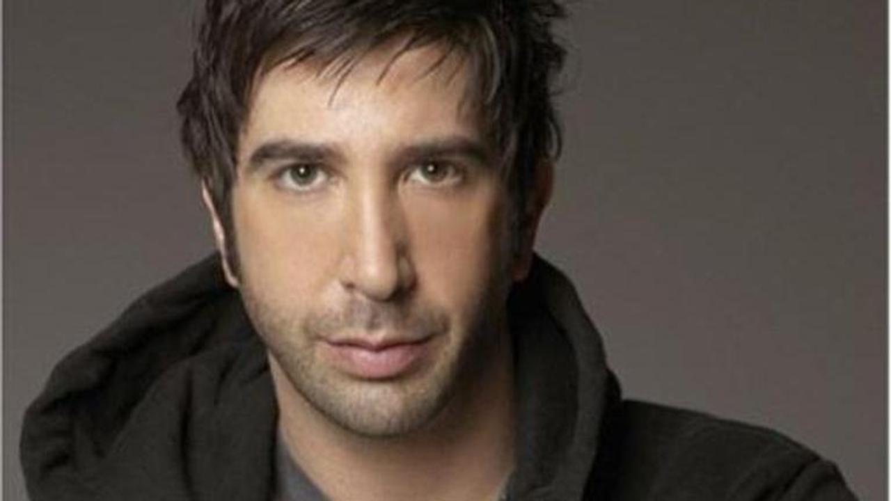 David Schwimmer