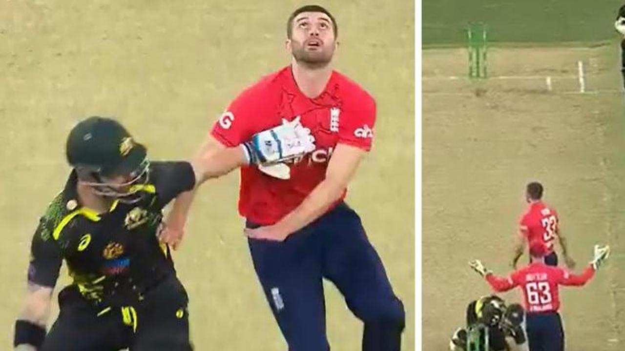 Matthew Wade, Mark Wood, Australia vs England, AUS vs ENG, AUS vs ENG 1st T20, Matthew Wade cheating, Matthew Wade obstruction, Jos Buttler