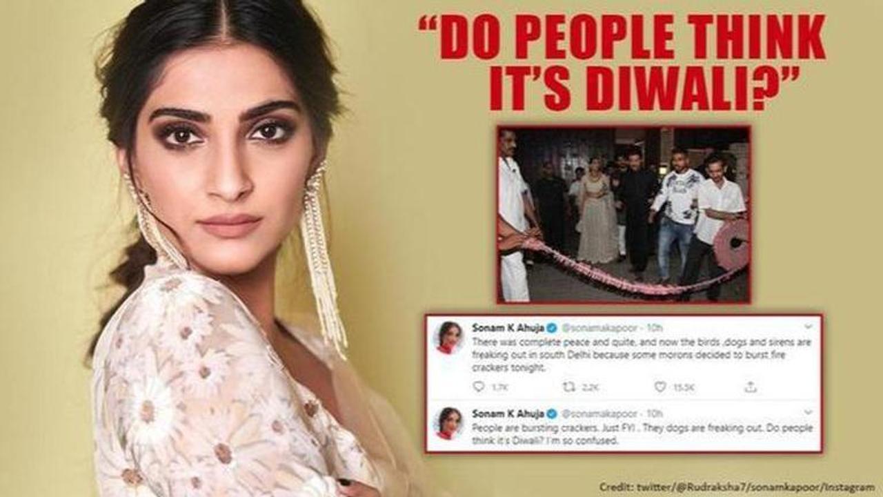 Sonam Kapoor unhappy over crackers troubling animals; netizens post her throwback pics