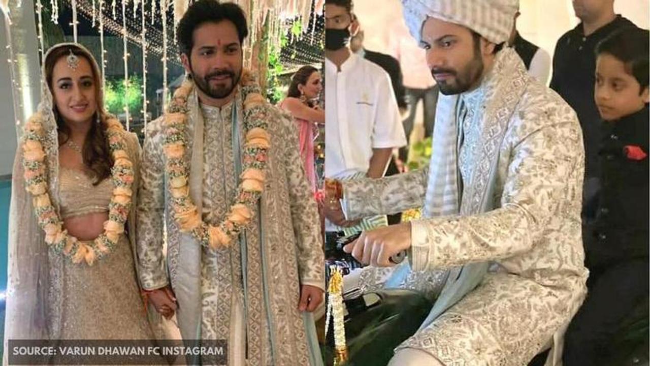 varun dhawan's wedding