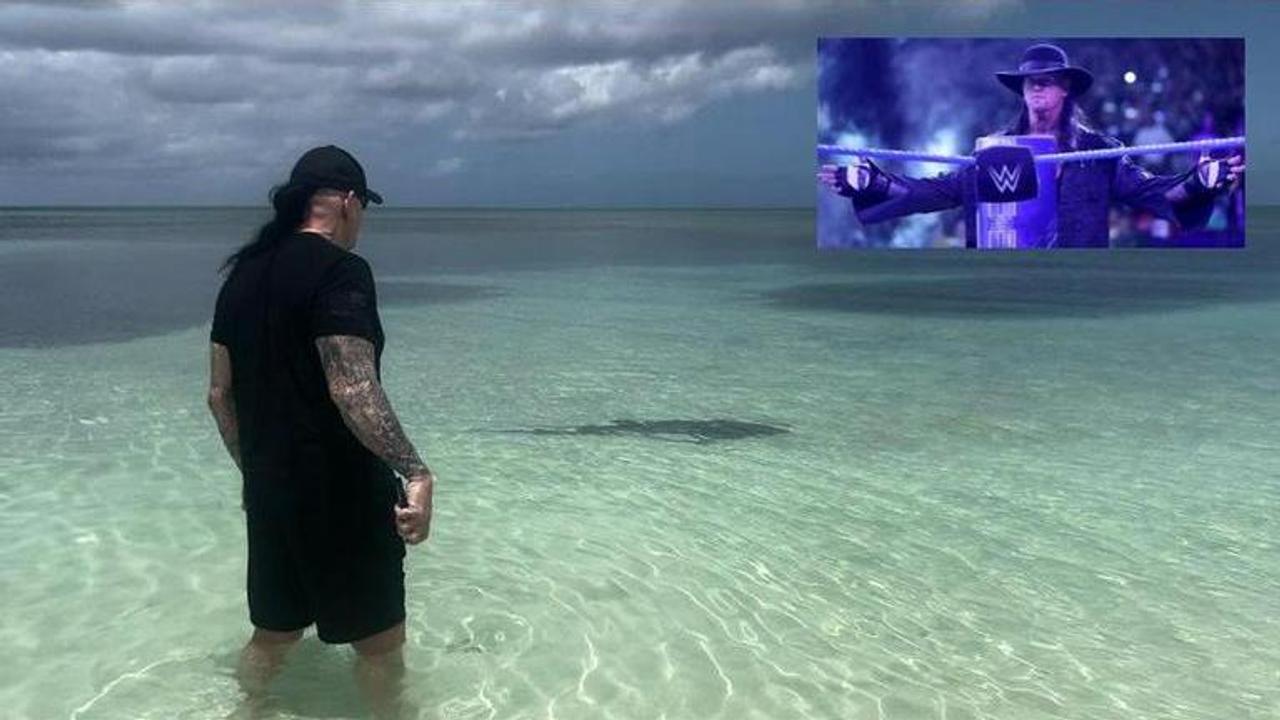 The Undertaker