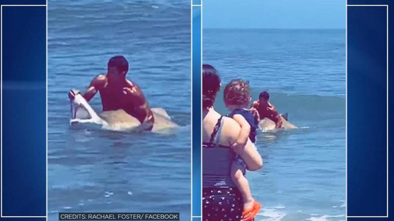 US: Man opens jaws of shark with bare hands, netizens stunned