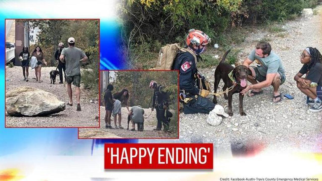 Dog survives after falling from 70 foot high cliff in Texas, rescued