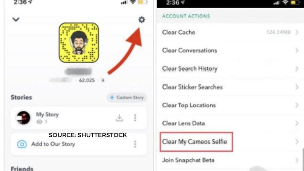 how to delete Snapchat Cameos