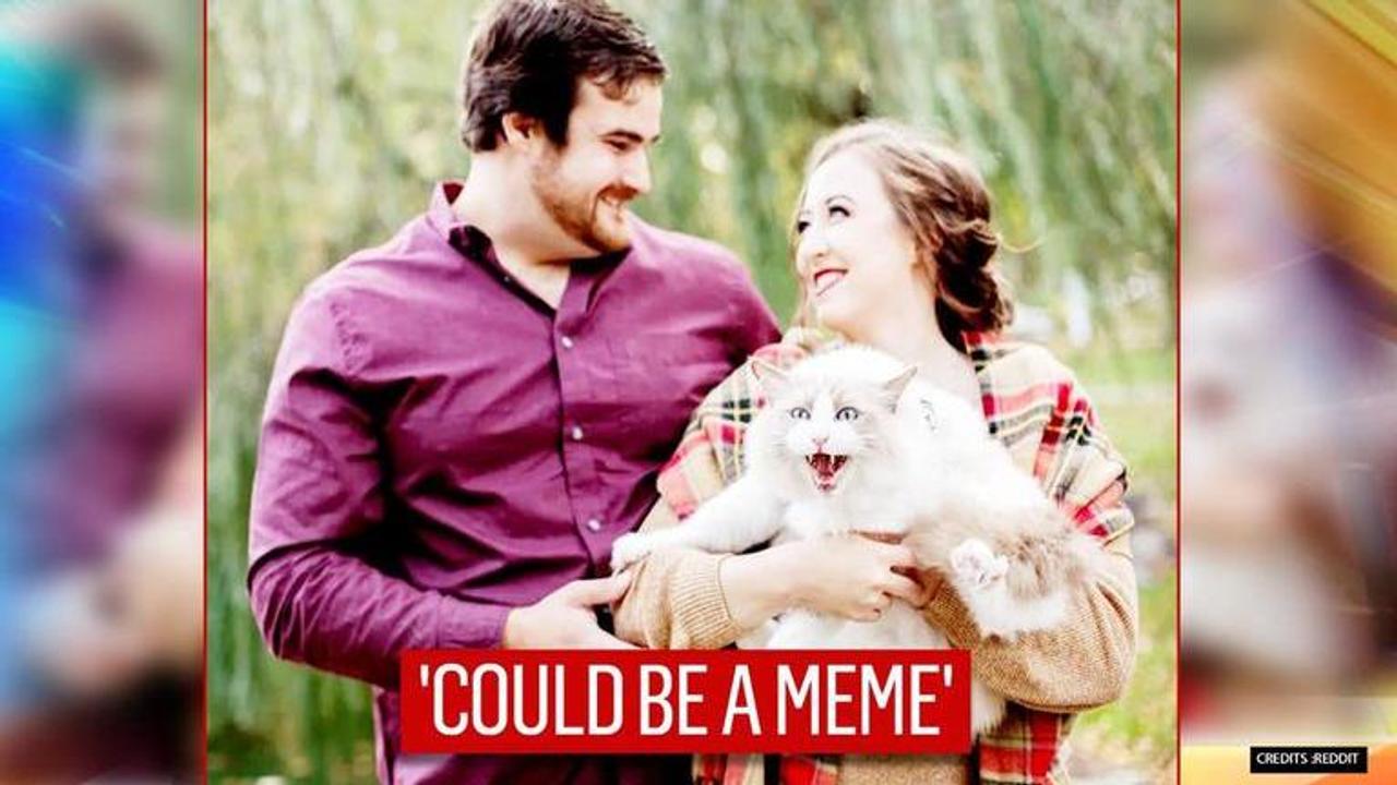 Engagement photo features purring cat along with couple, netizens want more