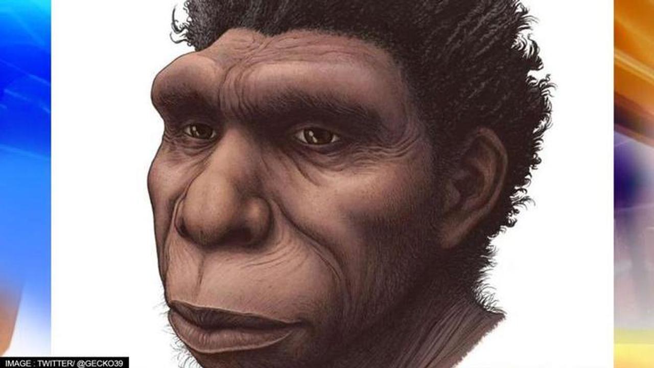 Homo bodoensis