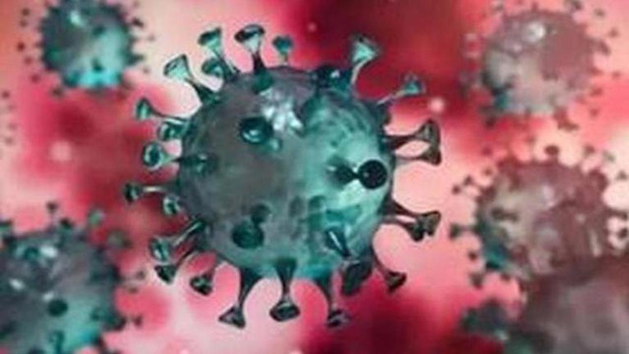 Coronavirus