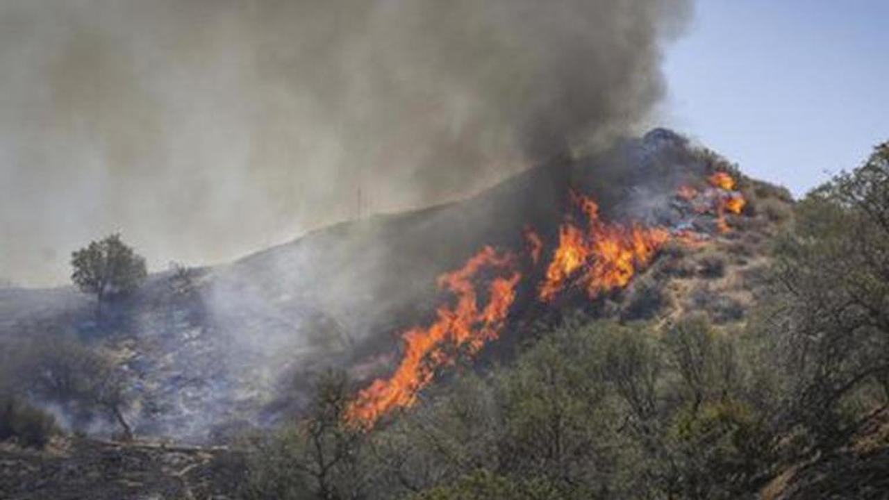 Wildfires hit Siberian nature reserve