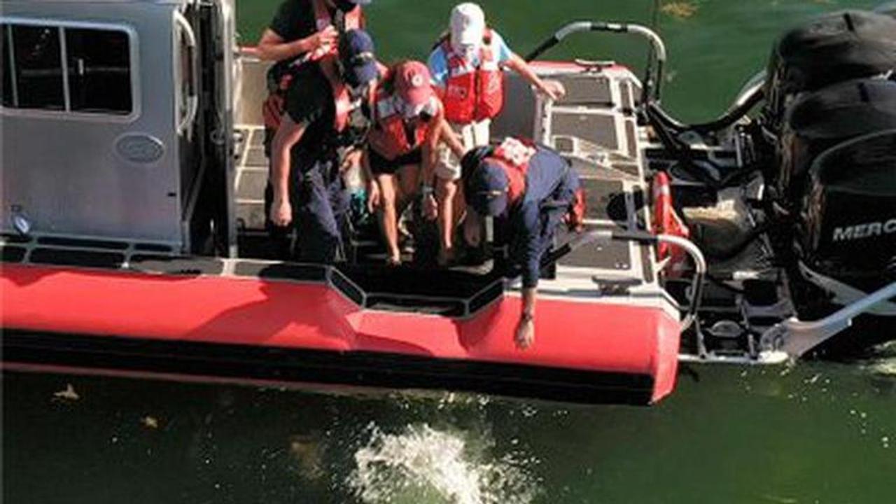 Coast Guard helps release turtles in Florida Keys