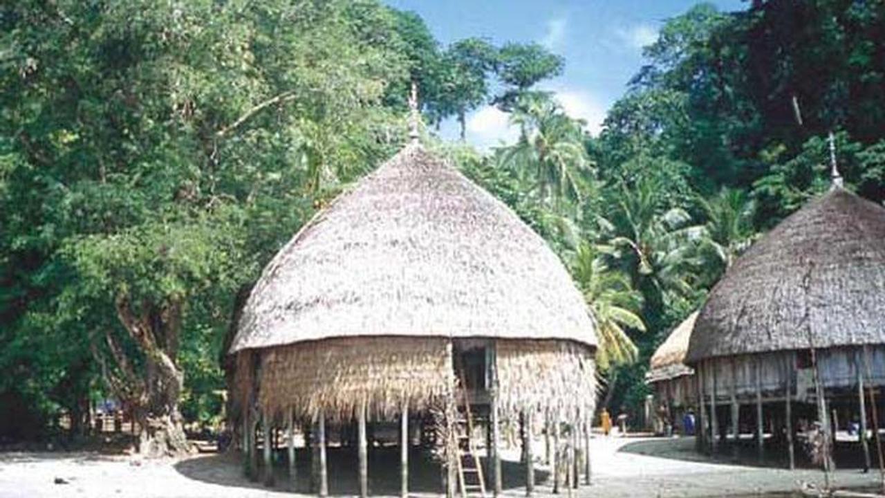 Inverted helmet-shaped Nicobari hut