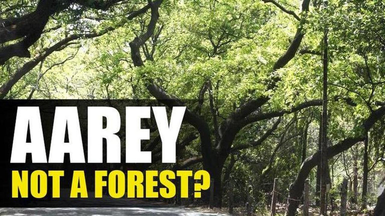 Aarey