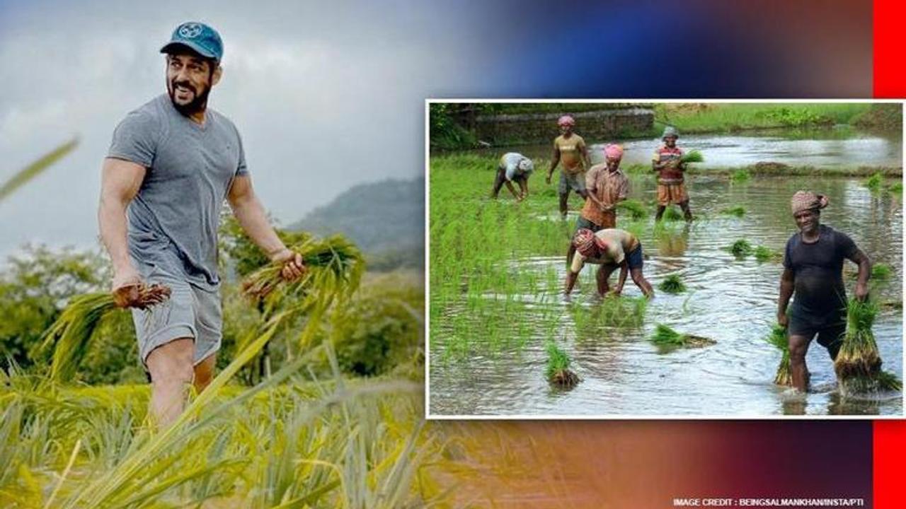 Salman Khan offers his ‘respect to all farmers’ with a post from Panvel farmhouse