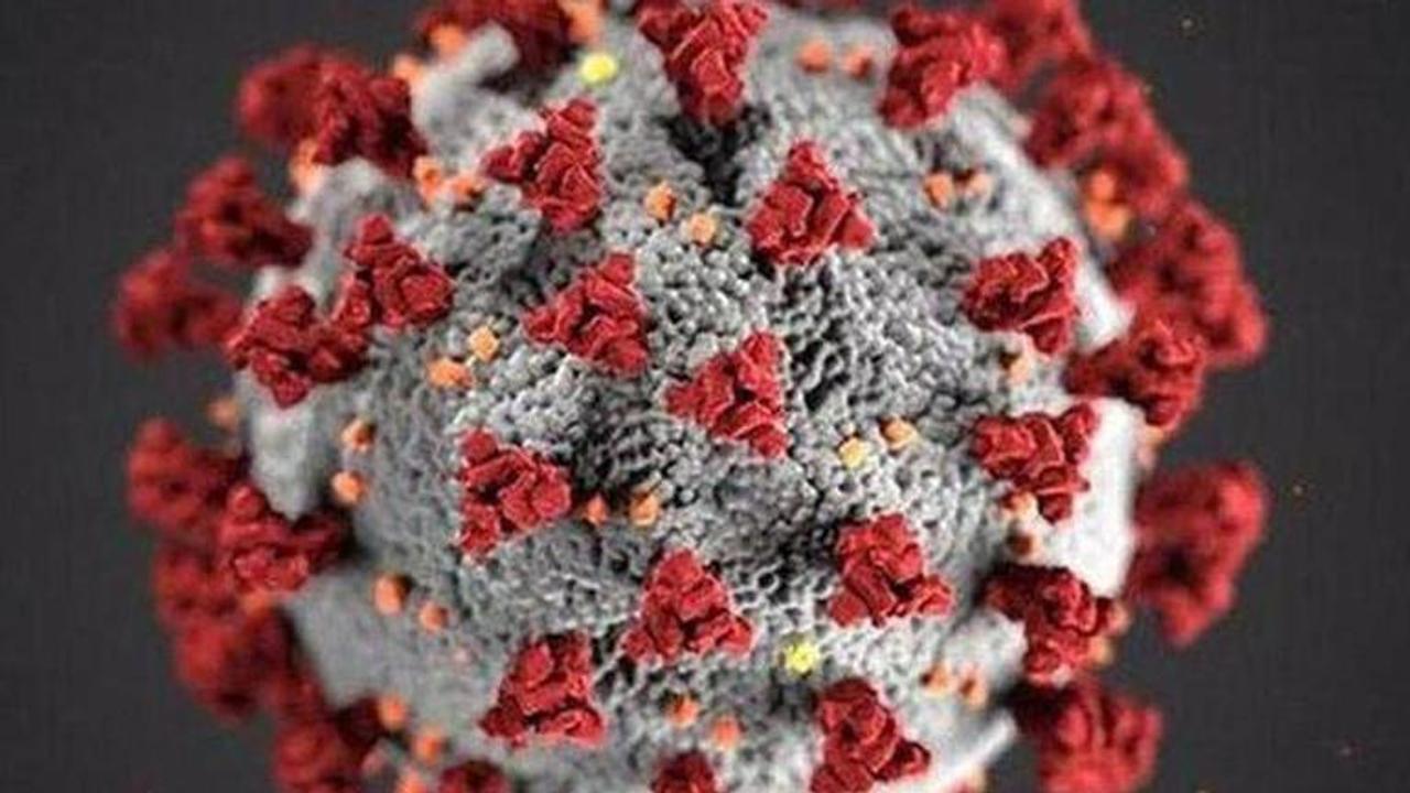 Russia, Pakistan virus cases spike as others ease controls