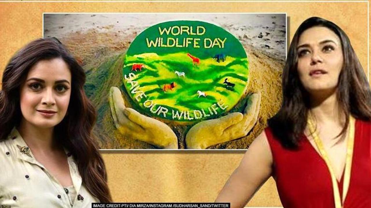 World Wildlife Day 2020