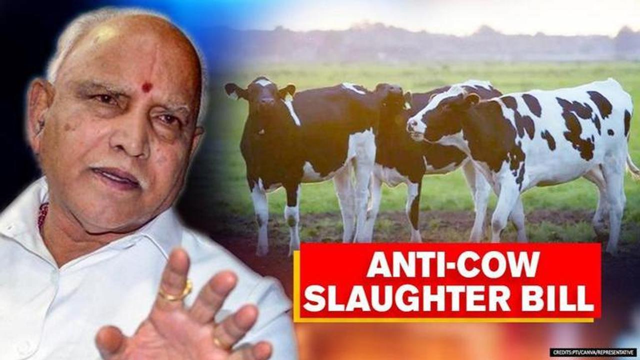 cow slaughter bill