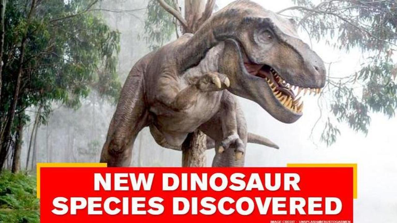 New dinosaur species discovered on Isle of Wight