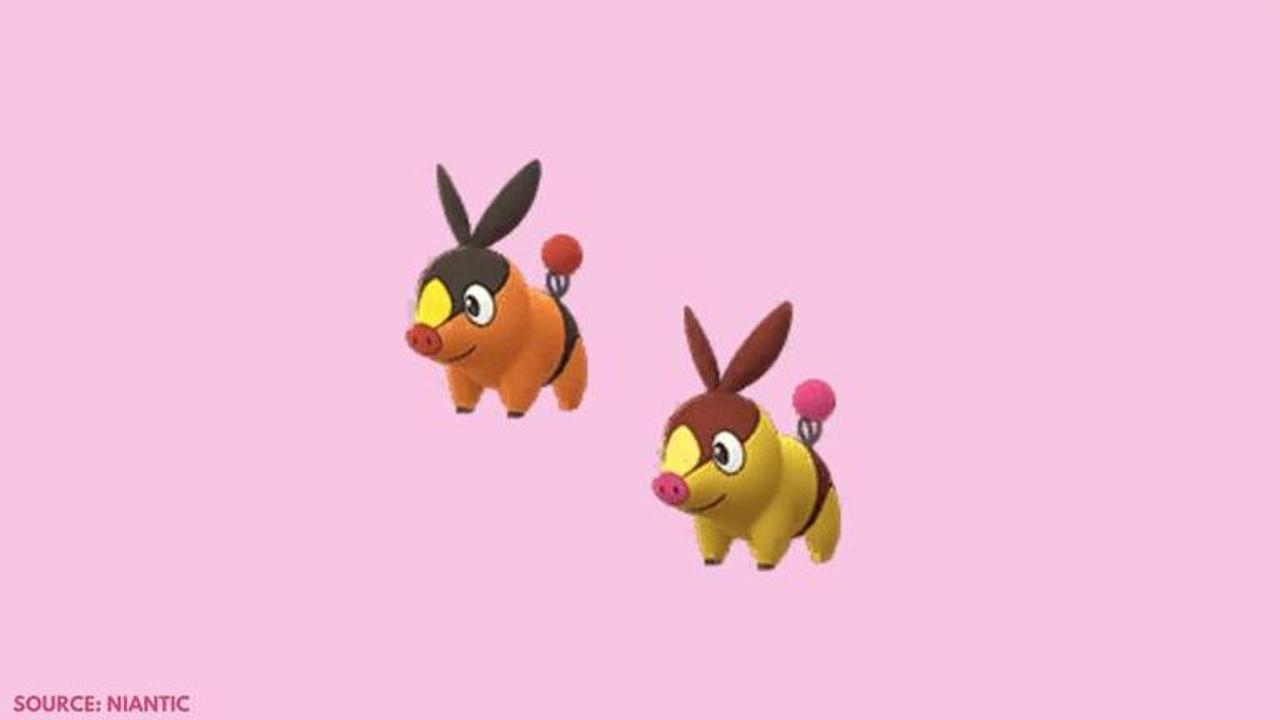 Shiny Tepig in Pokemon GO