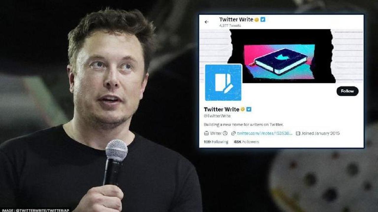 Twitter Write Musk