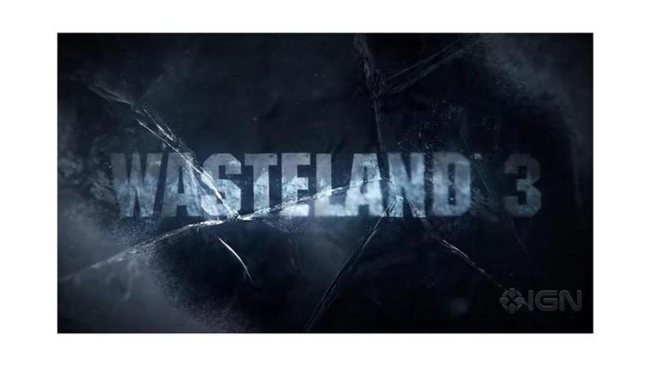 wasteland 3