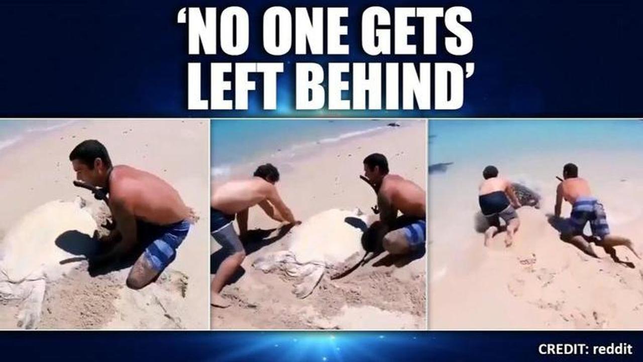 YouTuber helping stuck sea turtle is making social media users smile