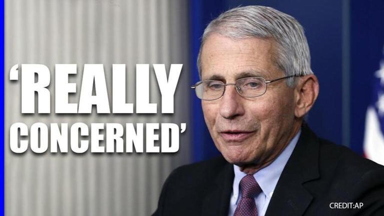 anthony fauci