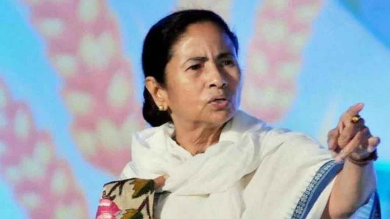 Mamata