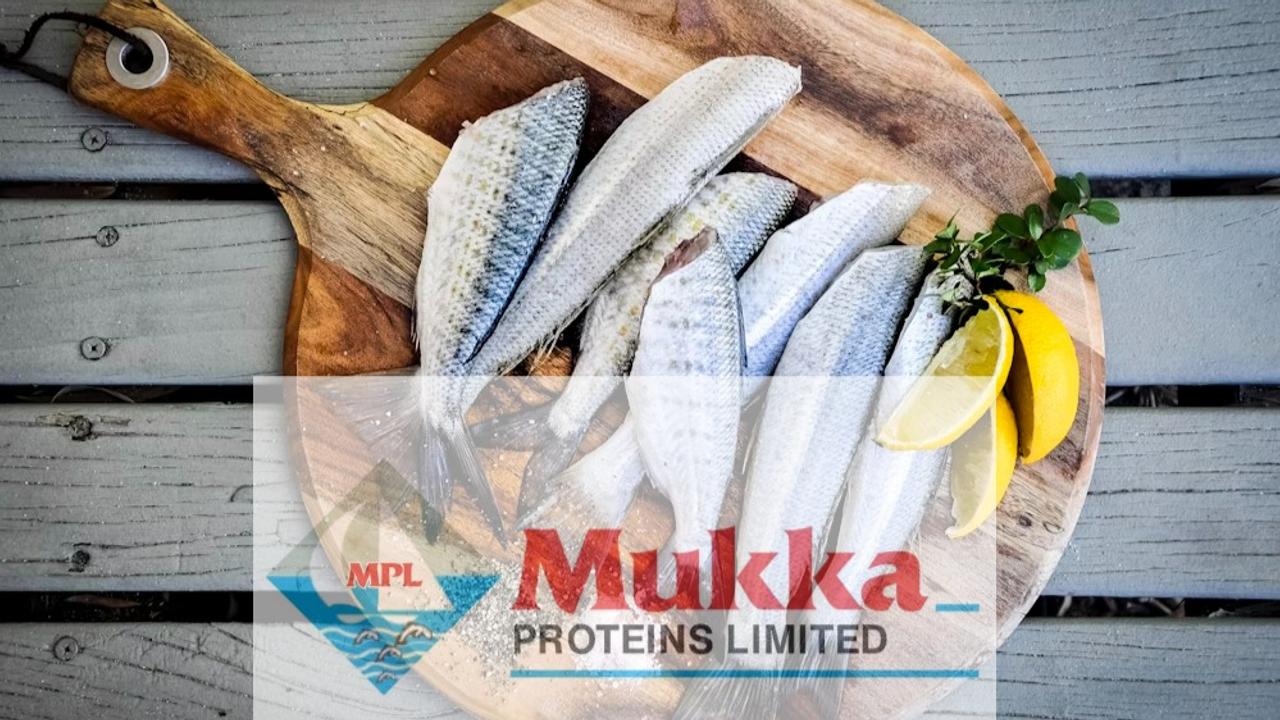 Mukka Proteins IPO